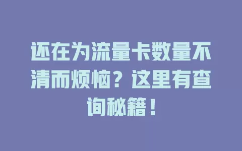 还在为流量卡数量不清而烦恼？这里有查询秘籍！