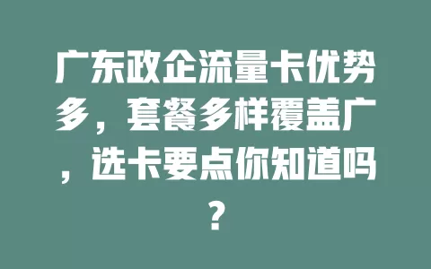 广东政企流量卡优势多，套餐多样覆盖广，选卡要点你知道吗？