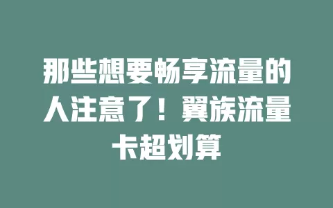 那些想要畅享流量的人注意了！翼族流量卡超划算