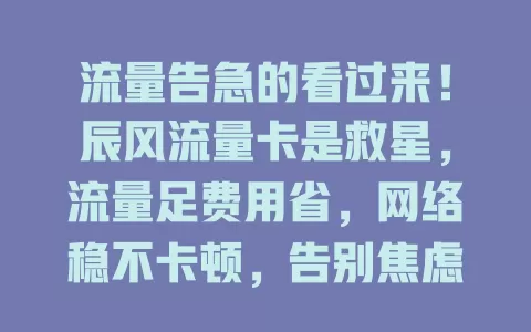 流量告急的看过来！辰风流量卡是救星，流量足费用省，网络稳不卡顿，告别焦虑，快开启畅快上网之旅