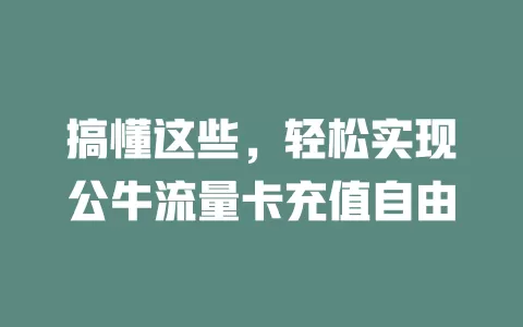 搞懂这些，轻松实现公牛流量卡充值自由