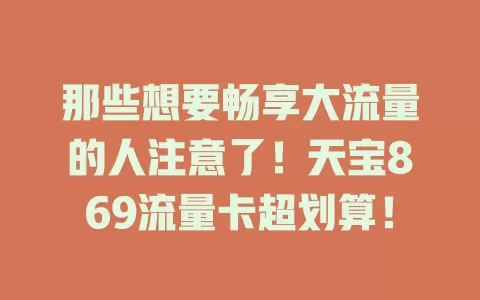 那些想要畅享大流量的人注意了！天宝869流量卡超划算！