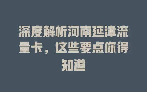 深度解析河南延津流量卡，这些要点你得知道