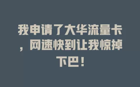 我申请了大华流量卡，网速快到让我惊掉下巴！