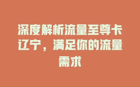 深度解析流量至尊卡辽宁，满足你的流量需求