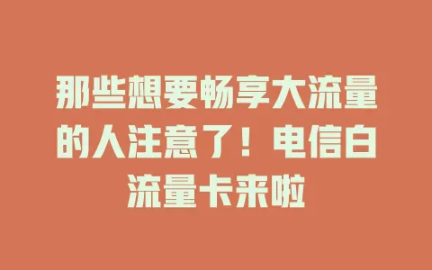 那些想要畅享大流量的人注意了！电信白流量卡来啦
