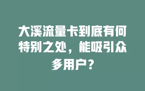 大溪流量卡到底有何特别之处，能吸引众多用户？