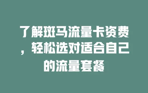 了解斑马流量卡资费，轻松选对适合自己的流量套餐