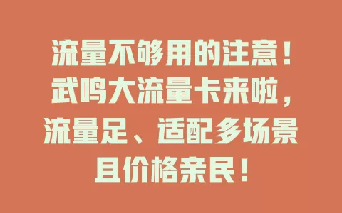 流量不够用的注意！武鸣大流量卡来啦，流量足、适配多场景且价格亲民！