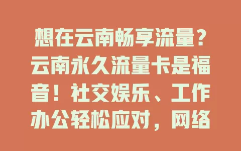 想在云南畅享流量？云南永久流量卡是福音！社交娱乐、工作办公轻松应对，网络稳定，随时随地与外界紧密相连，毫无顾虑畅享数字便利