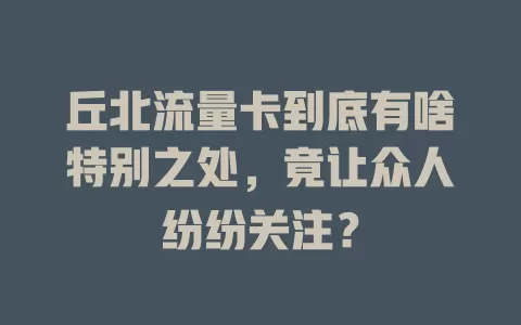 丘北流量卡到底有啥特别之处，竟让众人纷纷关注？