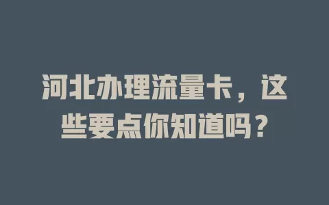 河北办理流量卡，这些要点你知道吗？