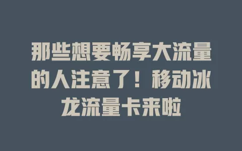 那些想要畅享大流量的人注意了！移动冰龙流量卡来啦