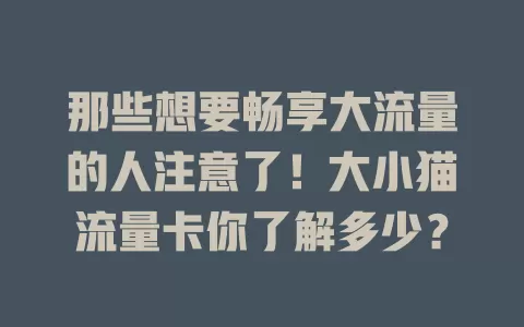 那些想要畅享大流量的人注意了！大小猫流量卡你了解多少？