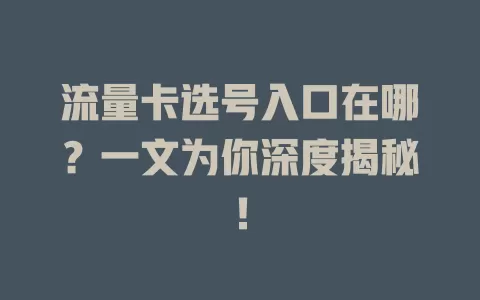 流量卡选号入口在哪？一文为你深度揭秘！