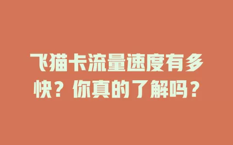 飞猫卡流量速度有多快？你真的了解吗？