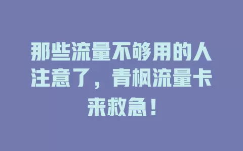 那些流量不够用的人注意了，青枫流量卡来救急！