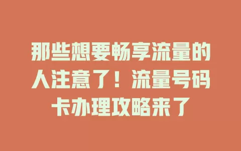 那些想要畅享流量的人注意了！流量号码卡办理攻略来了