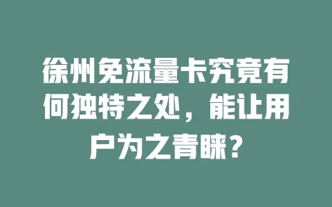 徐州免流量卡究竟有何独特之处，能让用户为之青睐？