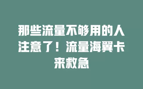 那些流量不够用的人注意了！流量海翼卡来救急
