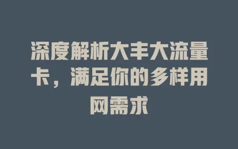 深度解析大丰大流量卡，满足你的多样用网需求