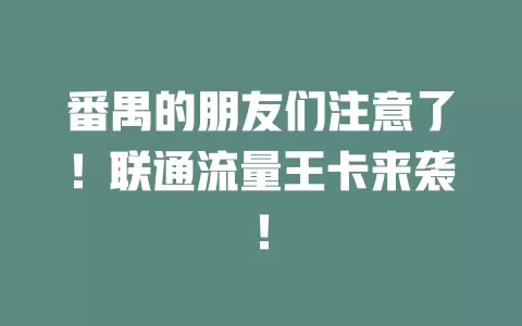 番禺的朋友们注意了！联通流量王卡来袭！