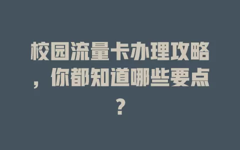 校园流量卡办理攻略，你都知道哪些要点？