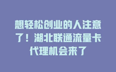 想轻松创业的人注意了！湖北联通流量卡代理机会来了