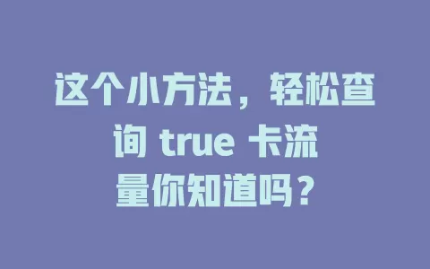 这个小方法，轻松查询 true 卡流量你知道吗？