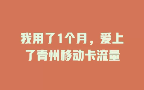 我用了1个月，爱上了青州移动卡流量