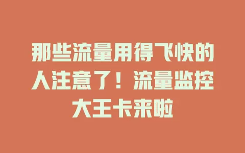那些流量用得飞快的人注意了！流量监控大王卡来啦