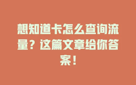 想知道卡怎么查询流量？这篇文章给你答案！