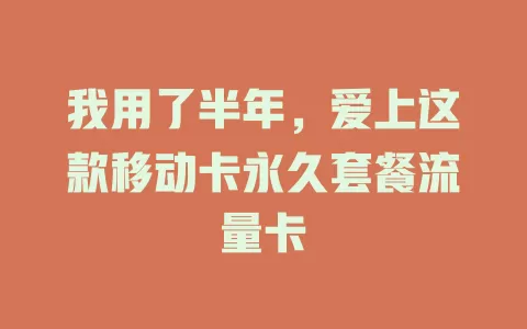 我用了半年，爱上这款移动卡永久套餐流量卡