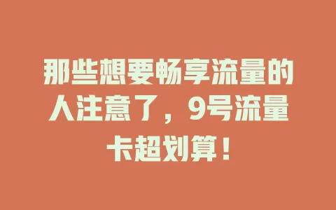 那些想要畅享流量的人注意了，9号流量卡超划算！