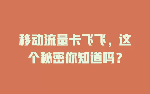 移动流量卡飞飞，这个秘密你知道吗？