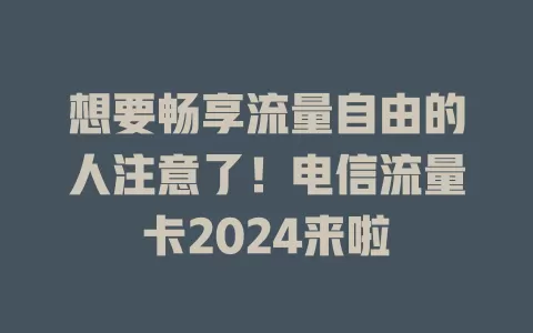 想要畅享流量自由的人注意了！电信流量卡2024来啦