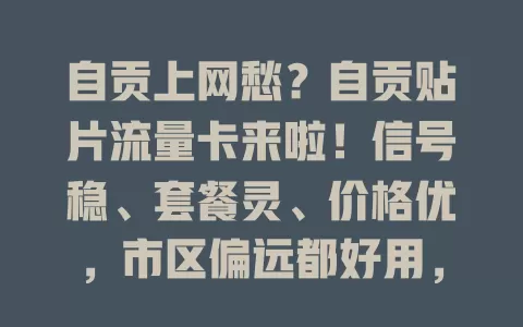 自贡上网愁？自贡贴片流量卡来啦！信号稳、套餐灵、价格优，市区偏远都好用，移动办公娱乐超流畅，花小钱办大事，上网难题全解决！