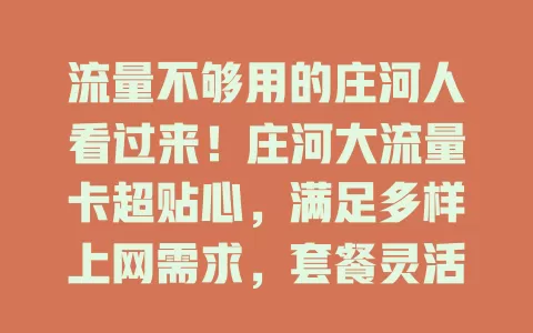 流量不够用的庄河人看过来！庄河大流量卡超贴心，满足多样上网需求，套餐灵活，网络稳定，让你告别流量烦恼，开启精彩数字生活