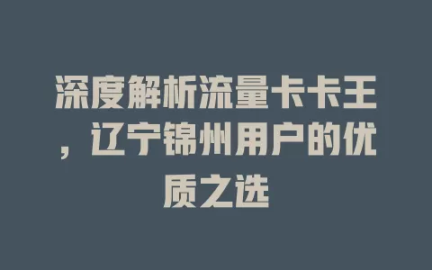 深度解析流量卡卡王，辽宁锦州用户的优质之选