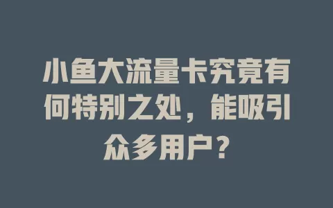 小鱼大流量卡究竟有何特别之处，能吸引众多用户？