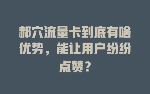 郝穴流量卡到底有啥优势，能让用户纷纷点赞？