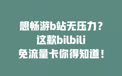 想畅游b站无压力？这款bilbili免流量卡你得知道！