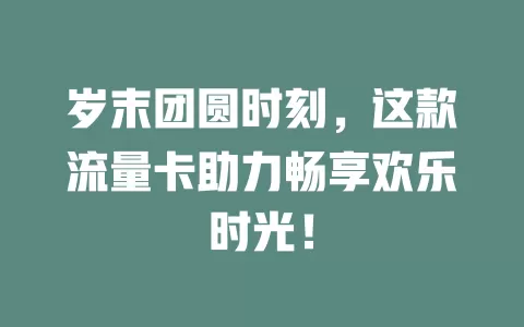 岁末团圆时刻，这款流量卡助力畅享欢乐时光！