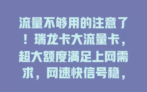 流量不够用的注意了！瑞龙卡大流量卡，超大额度满足上网需求，网速快信号稳，套餐合理，解决流量困扰