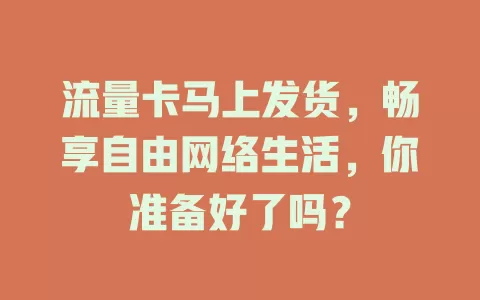 流量卡马上发货，畅享自由网络生活，你准备好了吗？