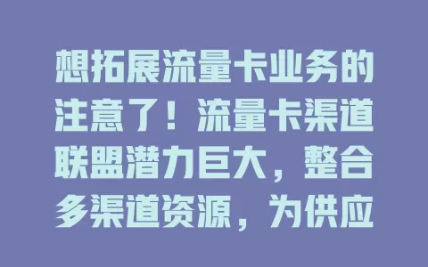 想拓展流量卡业务的注意了！流量卡渠道联盟潜力巨大，整合多渠道资源，为供应商和合作伙伴带来诸多优势，还能促进行业发展，未来有望成强大引擎