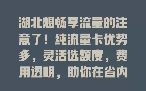 湖北想畅享流量的注意了！纯流量卡优势多，灵活选额度，费用透明，助你在省内随时连网，合理开支，选卡综合考虑多因素，畅游网络海洋