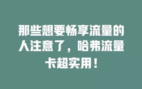 那些想要畅享流量的人注意了，哈弗流量卡超实用！