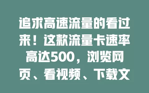 追求高速流量的看过来！这款流量卡速率高达500，浏览网页、看视频、下载文件超流畅，办公娱乐超便捷，是高要求用户的绝佳之选