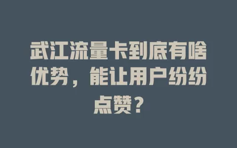 武江流量卡到底有啥优势，能让用户纷纷点赞？